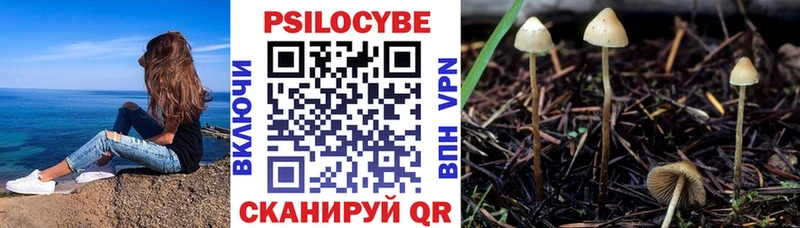 Галлюциногенные грибы MAGIC MUSHROOMS  Купить где  Крым 